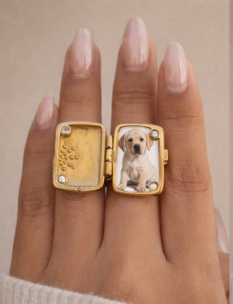 Photobomb ring